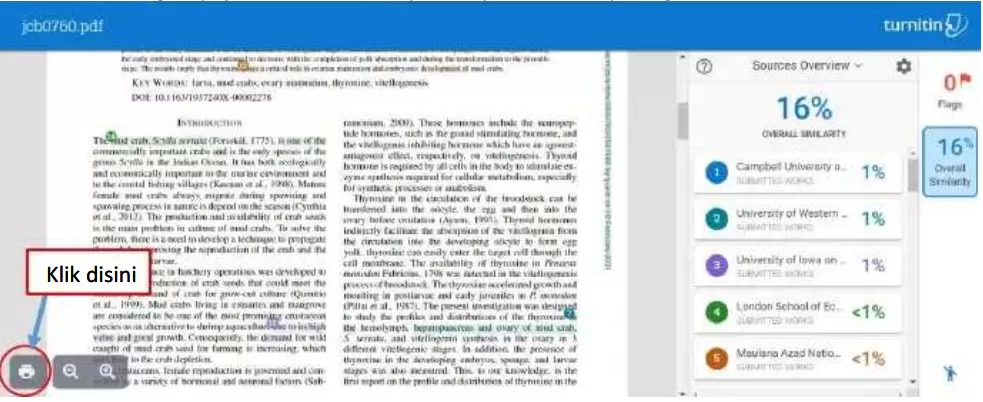 Cara Download Hasil Turnitin