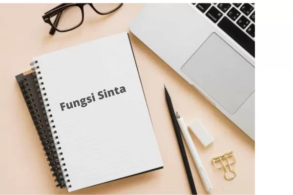 Fungsi Sinta